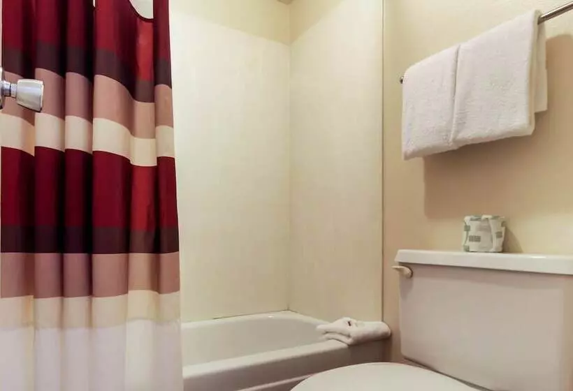 デラックスルーム, Red Roof Inn Detroit  Troy