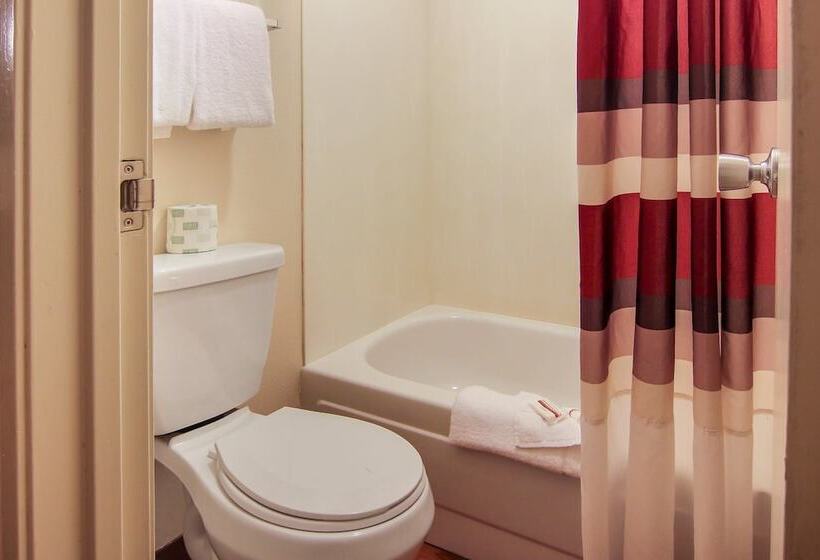 Номер Deluxe, Red Roof Inn Detroit  Troy