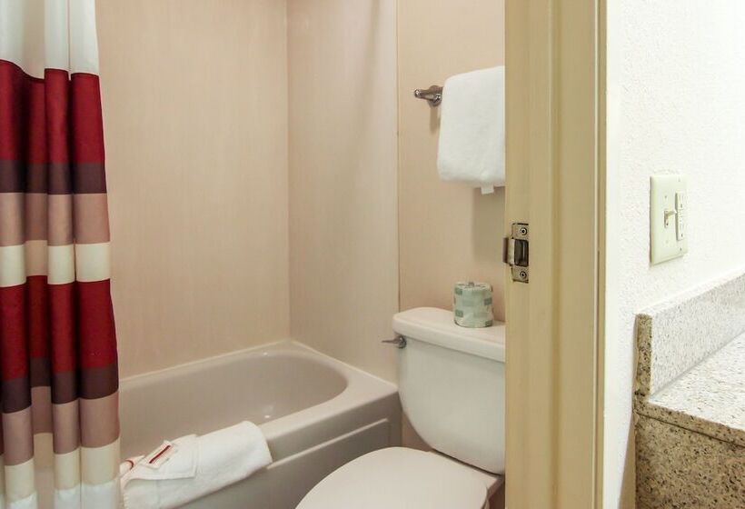 디럭스 룸, Red Roof Inn Detroit  Troy