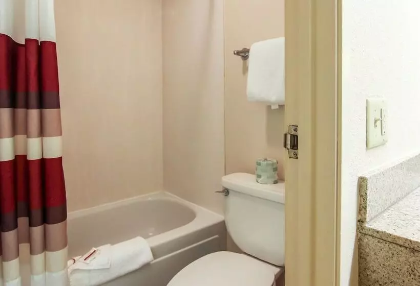 デラックスルーム, Red Roof Inn Detroit  Troy