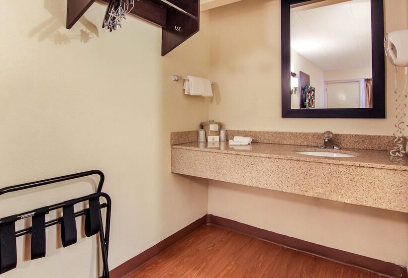 장애인용 디럭스룸, Red Roof Inn Detroit  Troy