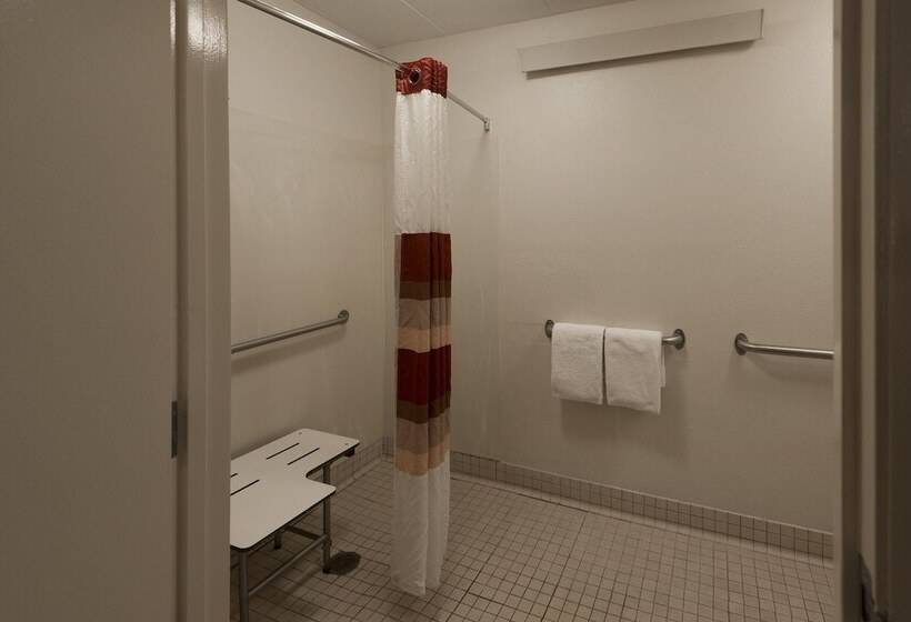 디럭스 룸, Red Roof Inn Detroit  Troy