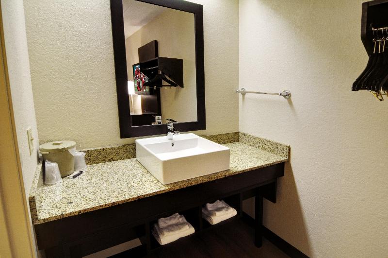 Номер Deluxe, American Inn & Suites Bishop Airport Flint