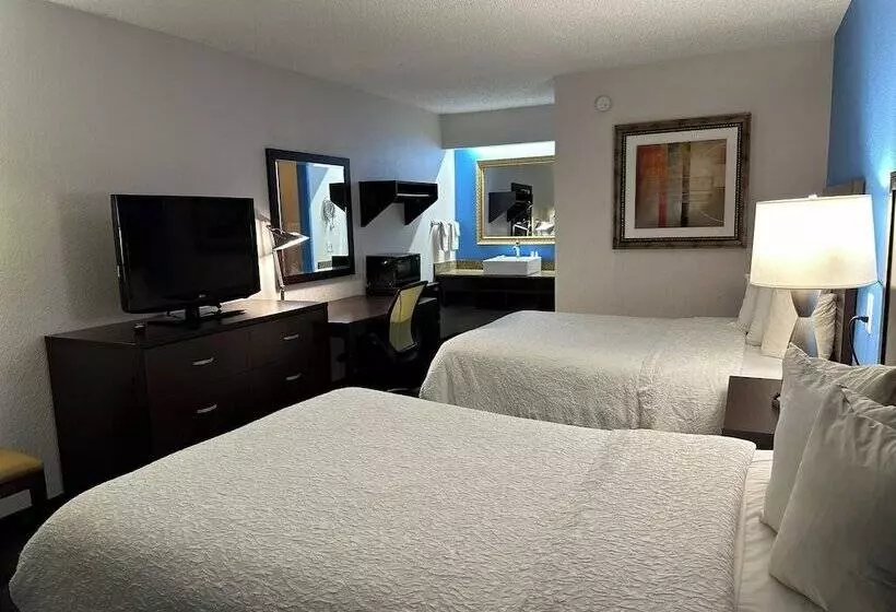 اتاق لوکس, American Inn & Suites Bishop Airport Flint