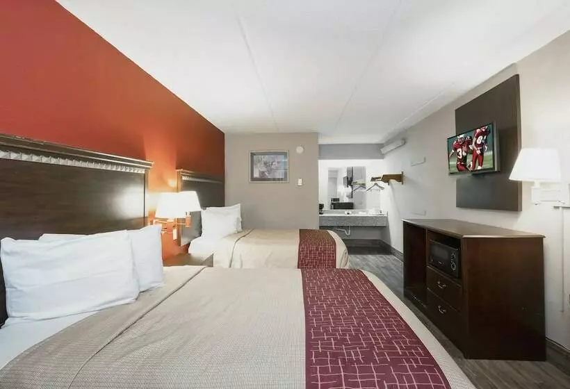 デラックスルーム, Red Roof Inn Jackson Downtown  Fairgrounds