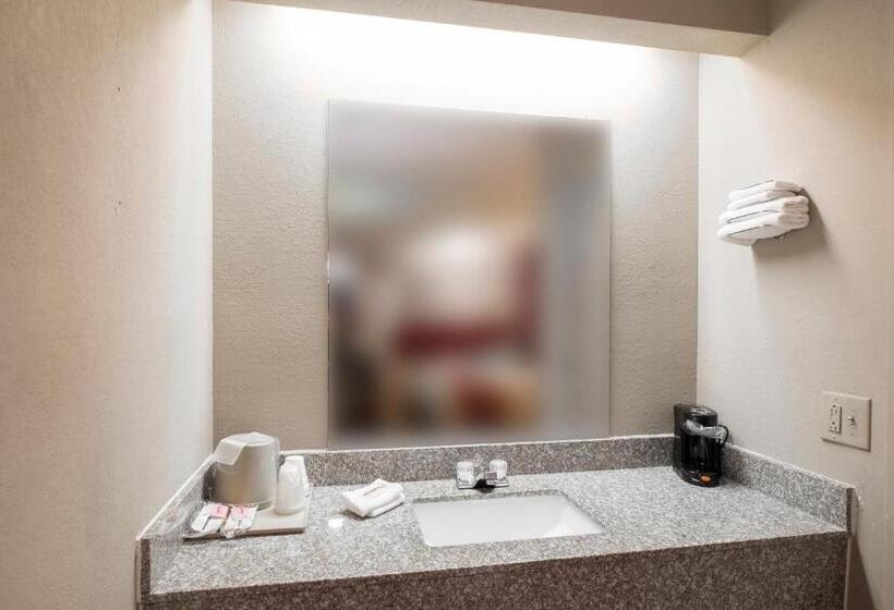 غرفة ديلوكس, Red Roof Inn Jackson Downtown  Fairgrounds