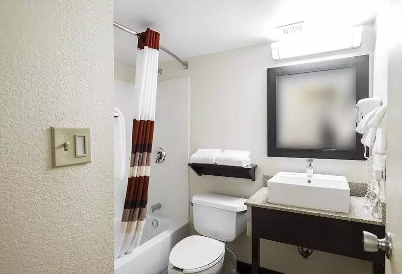 デラックスルーム, Red Roof Inn Plus+ San Antonio Downtown   Riverwalk
