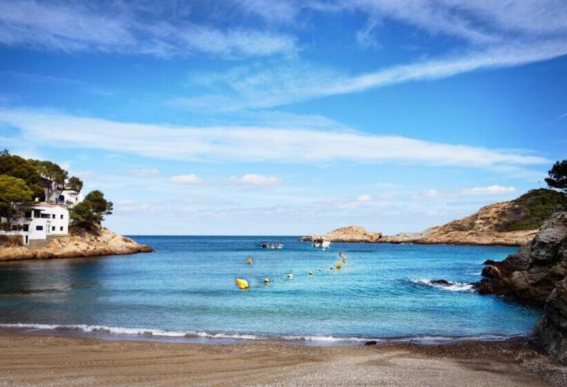 Camera Standard, Sa Tuna