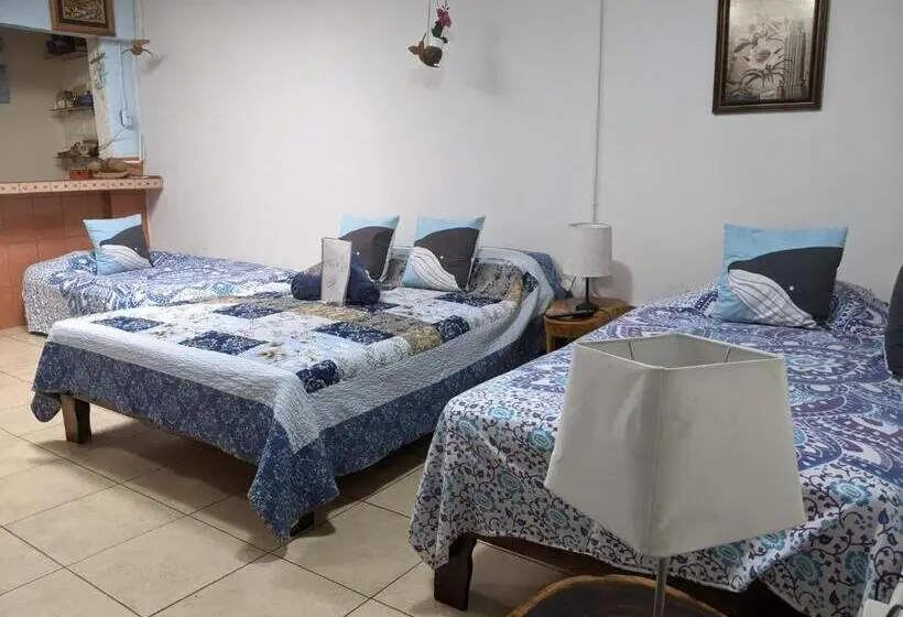 اتاق خانوادگی, Guesthouse Casa Lapa2