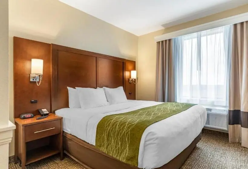 سوئیت با تخت بزرگ, Comfort Suites San Antonio Ft Sam Houston Sammc Area