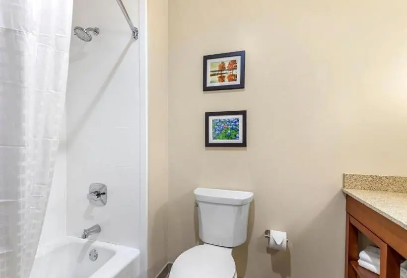 سوییت, Comfort Suites San Antonio Ft Sam Houston Sammc Area