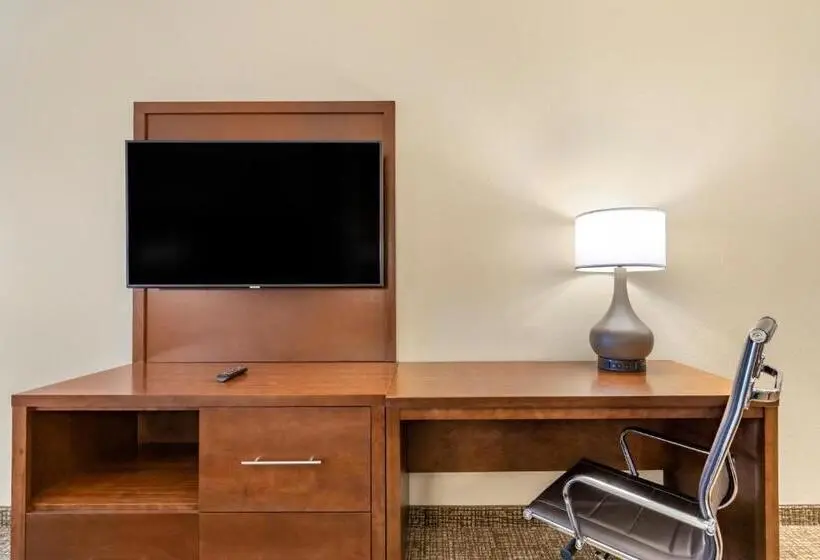 سوییت, Comfort Suites San Antonio Ft Sam Houston Sammc Area