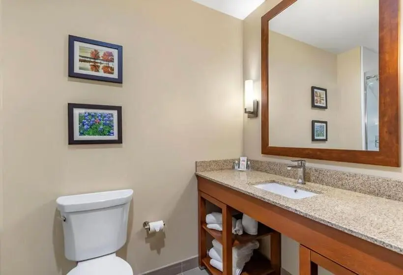 سوییت, Comfort Suites San Antonio Ft Sam Houston Sammc Area