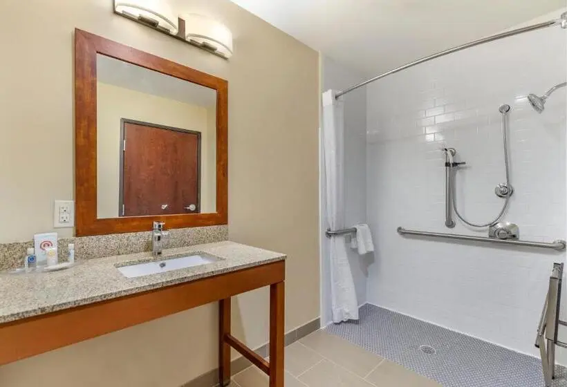 سوئیت برای معلولان, Comfort Suites San Antonio Ft Sam Houston Sammc Area