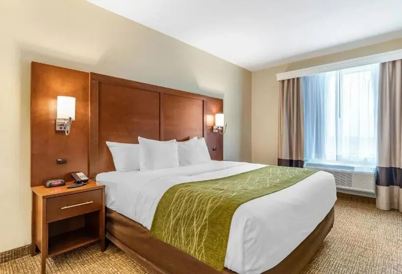 سوئیت برای معلولان, Comfort Suites San Antonio Ft Sam Houston Sammc Area