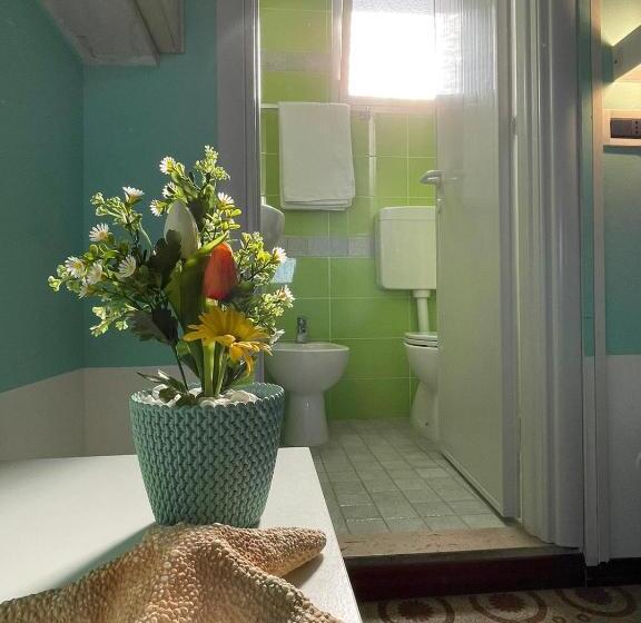 Номер Стандарт, Napoleon