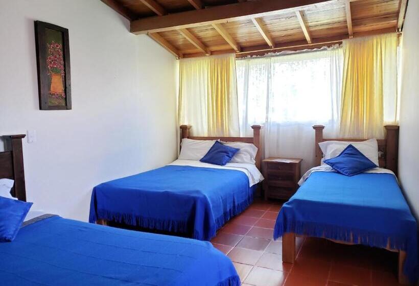 4인용 스탠다드 룸, Casa Floralia