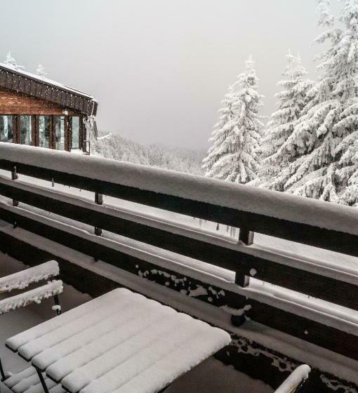 شقة غرفة نوم واحدة مزودة بشُرفة, And Spa Moreni