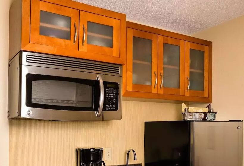 سوییت, Residence Inn Atlanta Downtown