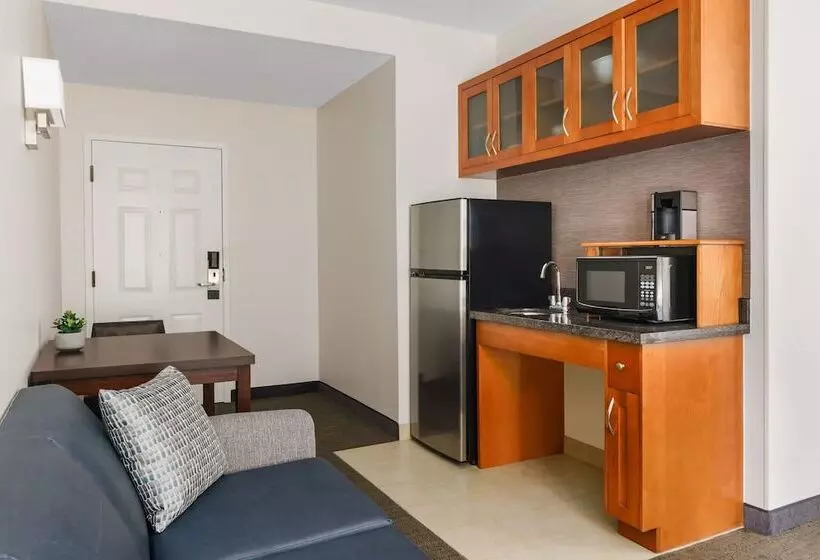 سوییت, Residence Inn Atlanta Downtown