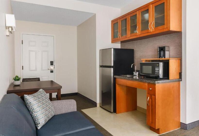 חדר סטודיו סטנדרד, Residence Inn Atlanta Downtown