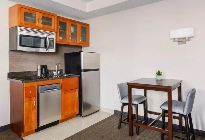 اتاق استاندارد, Residence Inn Atlanta Downtown