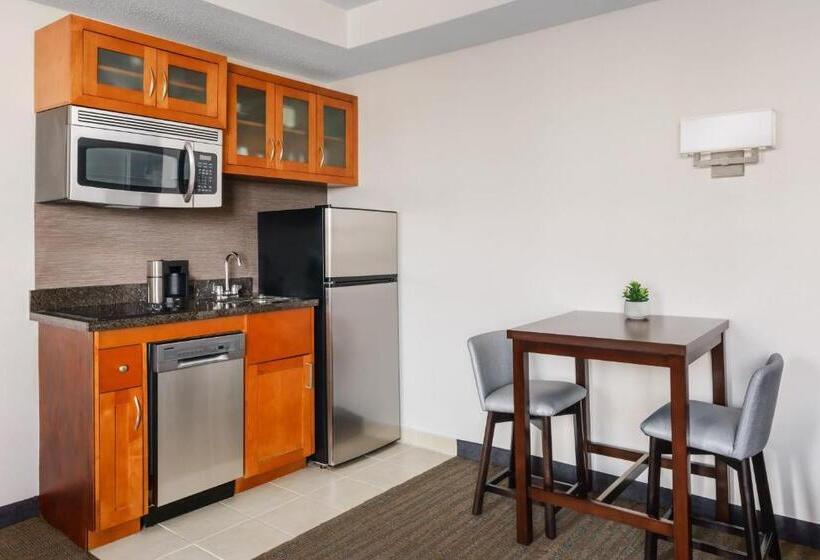إستوديو قياسى سرير كينج, Residence Inn Atlanta Downtown