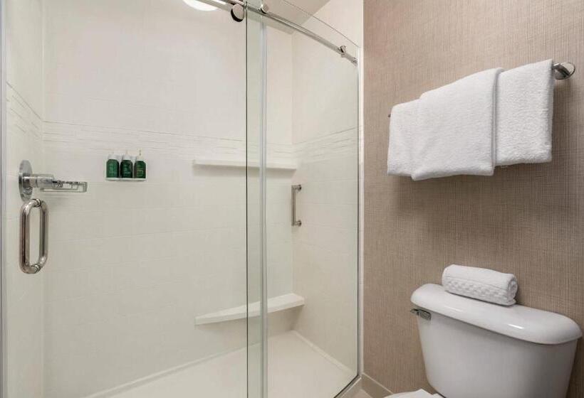 Студия Стандарт, Residence Inn Atlanta Duluth Gwinnett Place