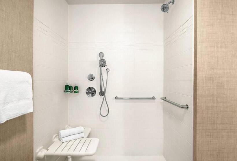 Люкс 2 Спальни, Residence Inn Atlanta Duluth Gwinnett Place