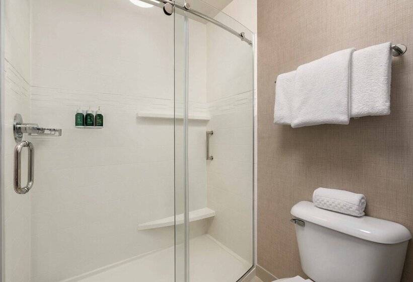 Люкс, Residence Inn Atlanta Duluth Gwinnett Place