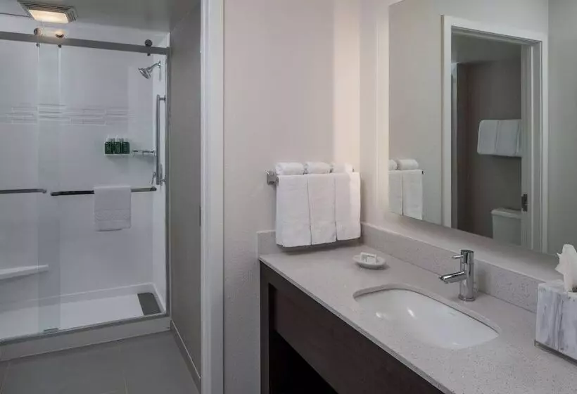 デラックススタジオ, Sonesta Es Suites Fairfax Fair Lakes