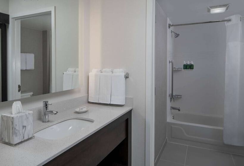 침실 2개 스위트, Sonesta Es Suites Fairfax Fair Lakes