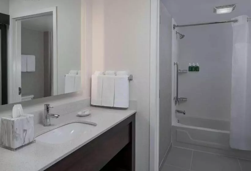 スタンダードスタジオ, Sonesta Es Suites Fairfax Fair Lakes