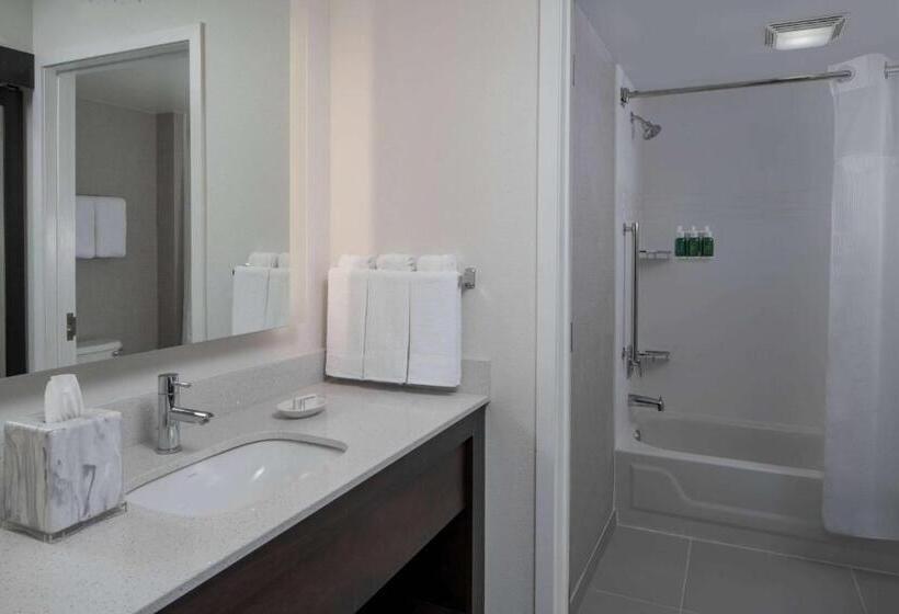 침실 2개 스위트, Sonesta Es Suites Fairfax Fair Lakes