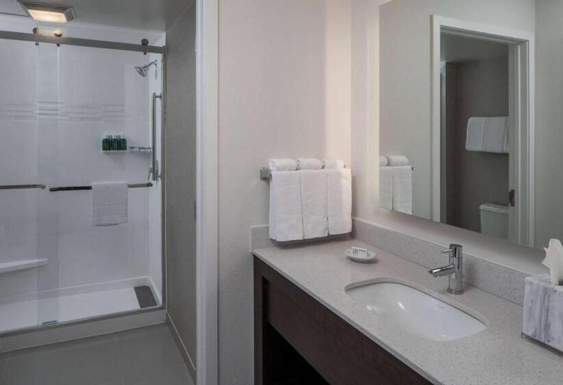 디럭스 스튜디오, Sonesta Es Suites Fairfax Fair Lakes
