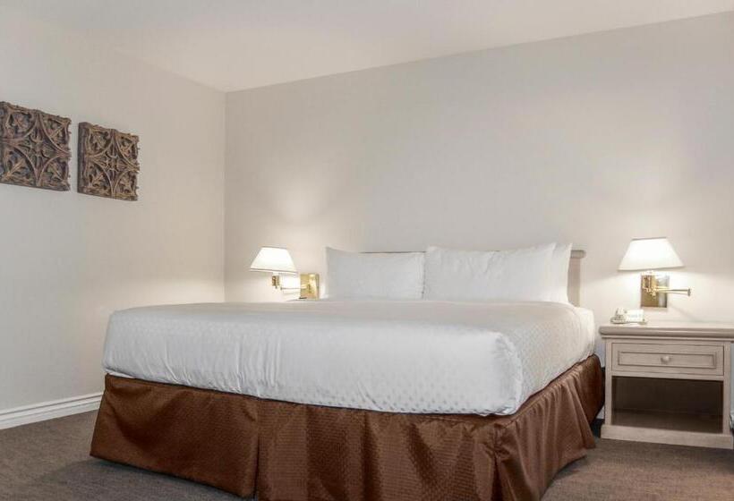 디럭스 스튜디오 바다 전망, Riviera Beach & Shores Resorts