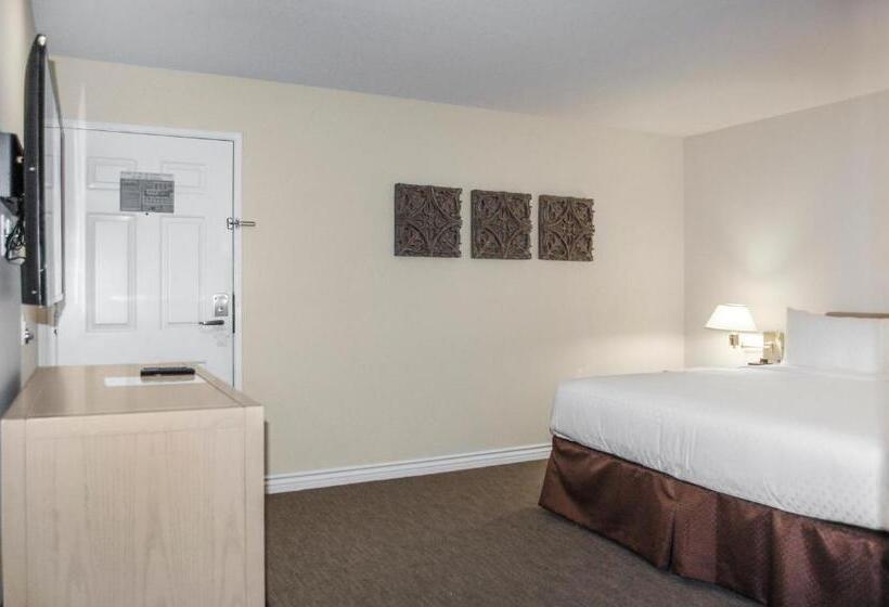 디럭스 스튜디오 바다 전망, Riviera Beach & Shores Resorts