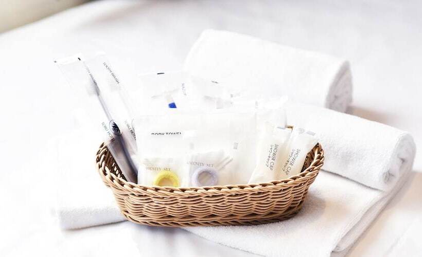 身障者適用スタンダードルーム, Kawagoe Tobu