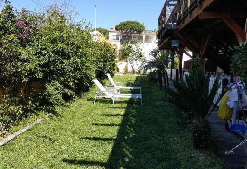 اتاق استاندارد یک نفره, Hostal Playa Mazagon