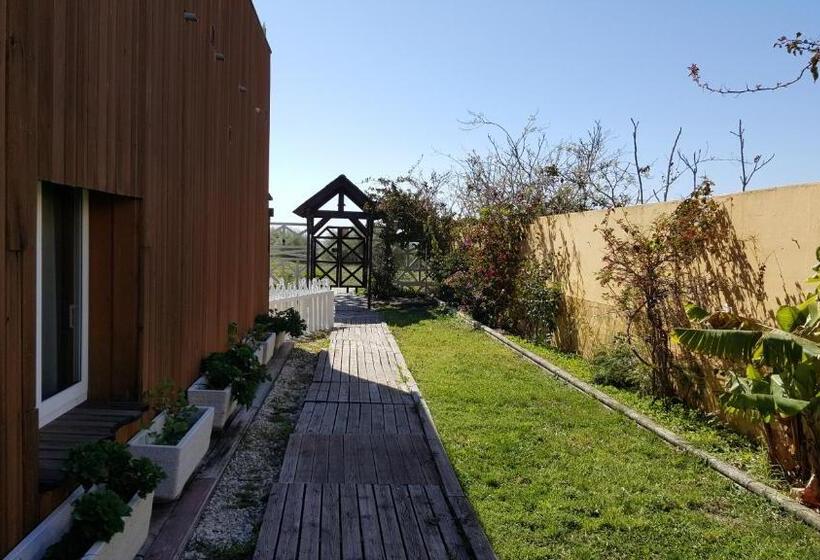 اتاق استاندارد یک نفره, Hostal Playa Mazagon