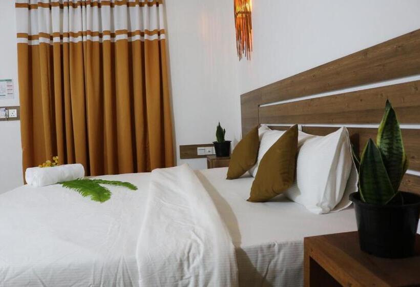 اتاق لوکس, Rasdhoo Wave Blue