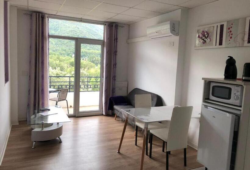 バルコニー付き１ベッドルームアパートメント, Domaine Des Anges