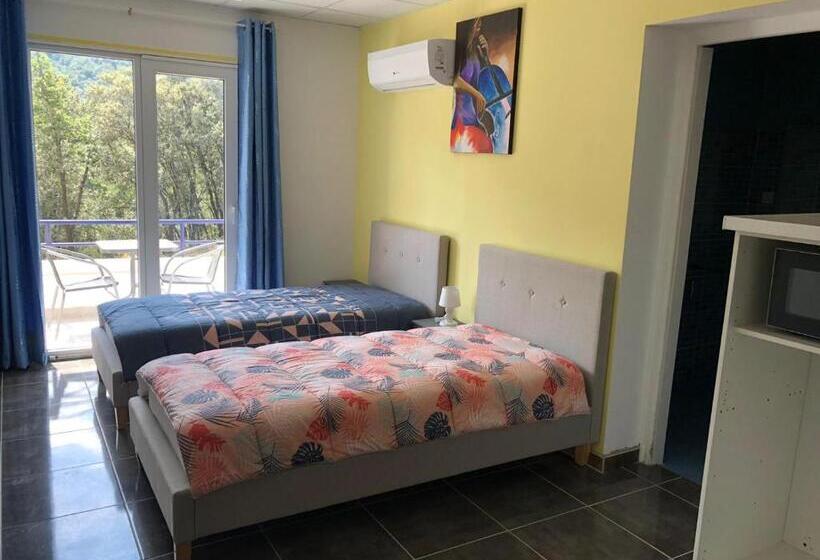 Студио Стандарт с Видом, Domaine Des Anges