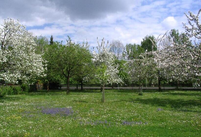 スタンダードルーム, Pension Eva