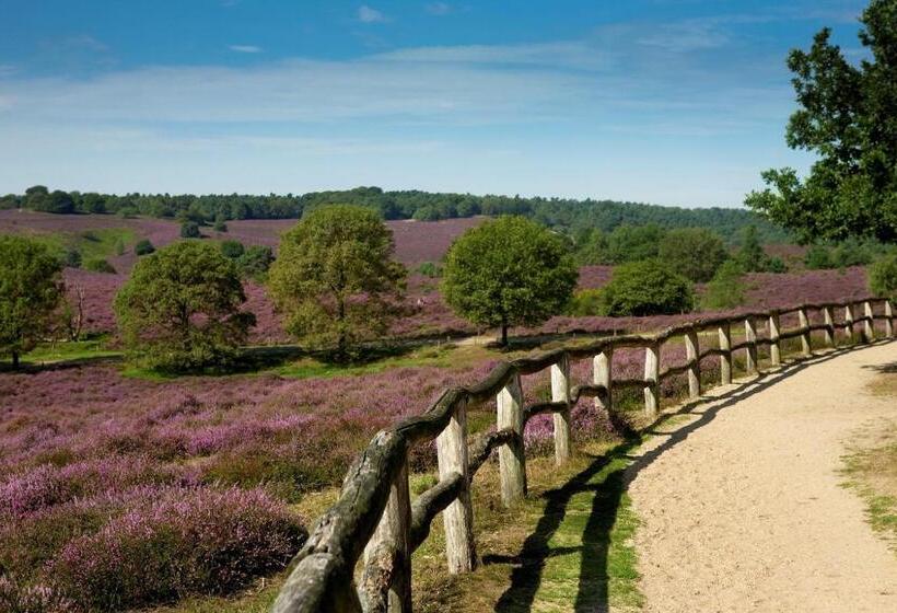 سوئیت با تخت بزرگ, Boutique Hotel Beekhuizen