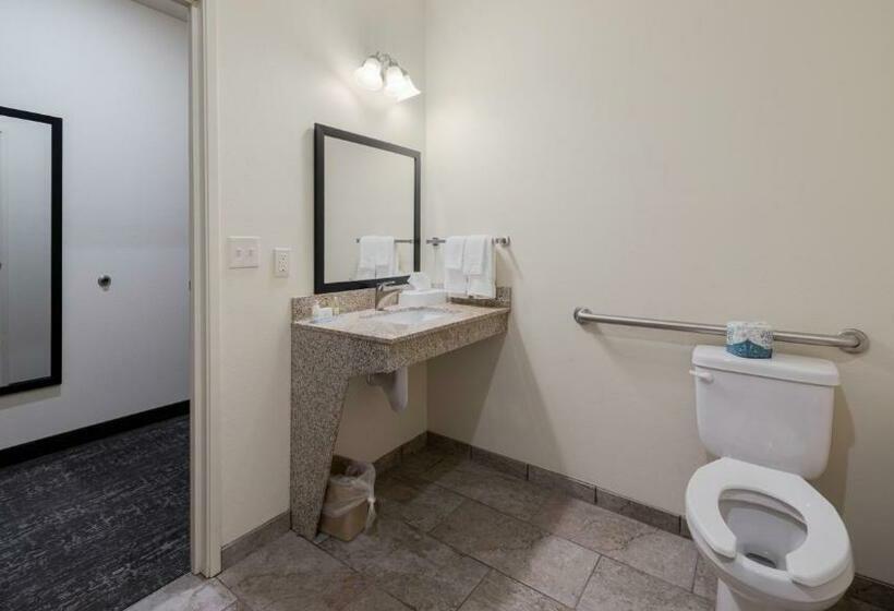 غرفة قياسية سرير كينج لذوى الإحتياجات الخاصة, Cobblestone Hotel & Suites   Two Rivers