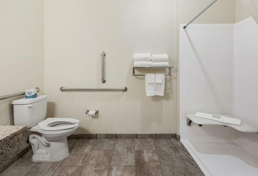 غرفة قياسية سرير كينج لذوى الإحتياجات الخاصة, Cobblestone Hotel & Suites   Two Rivers