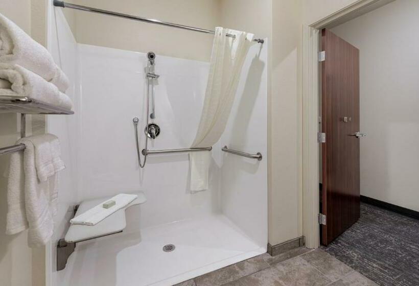 غرفة قياسية سرير كينج لذوى الإحتياجات الخاصة, Cobblestone Hotel & Suites   Two Rivers