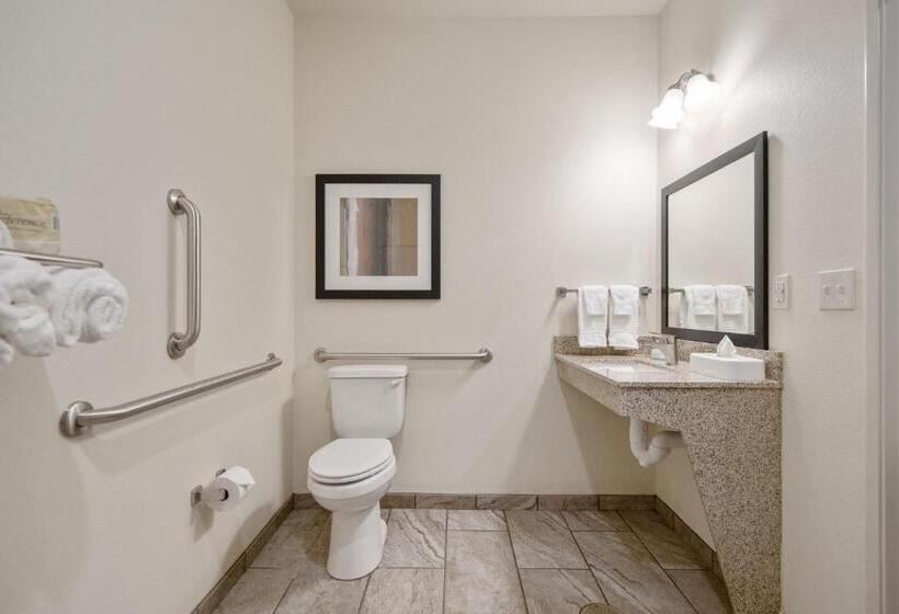 장애인을 위한 킹사이즈 침대 스탠다드 룸, Cobblestone Hotel & Suites   Two Rivers