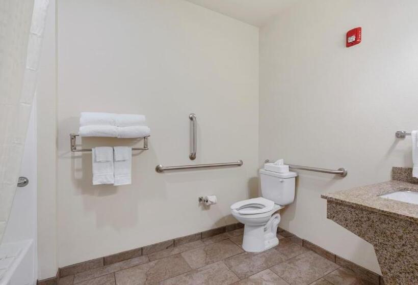 إستوديو قياسى, Cobblestone Hotel & Suites   Two Rivers